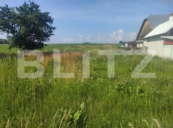 Casa de vânzare 5 camere Satu Mare - 153252CV | BLITZ Suceava | Poza5