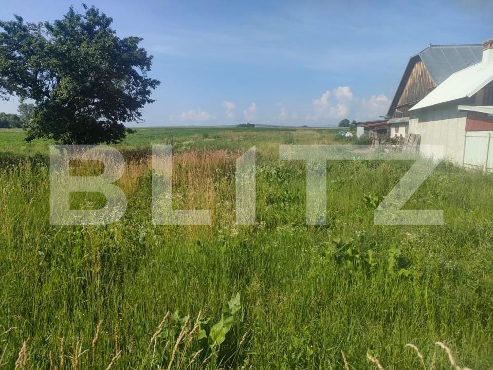 Casa de vânzare 5 camere Satu Mare - 153252CV | BLITZ Suceava | Poza5