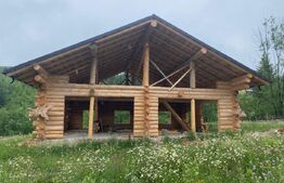 Casa din busteni, com. Vama, SV