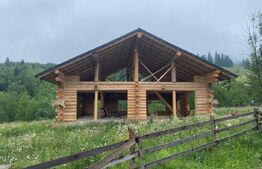 Casa din busteni, com. Vama, SV