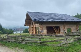 Casa din busteni, com. Vama, SV