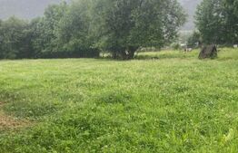 Casa Câmpulung Moldovenesc 200 mp