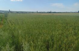 Teren extravilan, 2427 mp, Horodnic de Sus