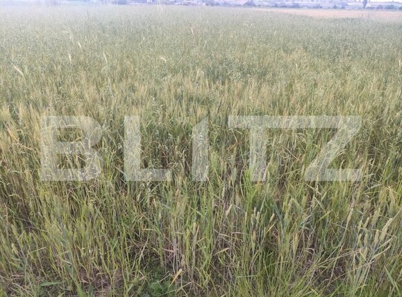 Teren de vânzare Horodnic - 153352TV | BLITZ Suceava | Poza2