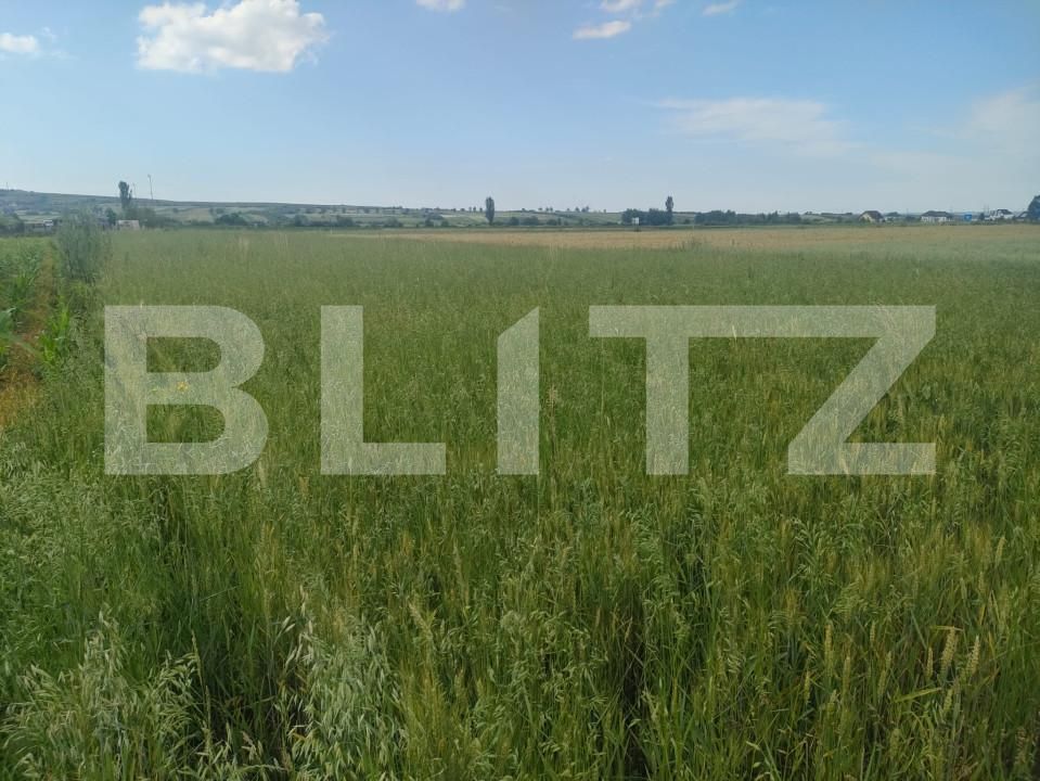 Teren de vânzare Horodnic - 153352TV | BLITZ Suceava | Poza2