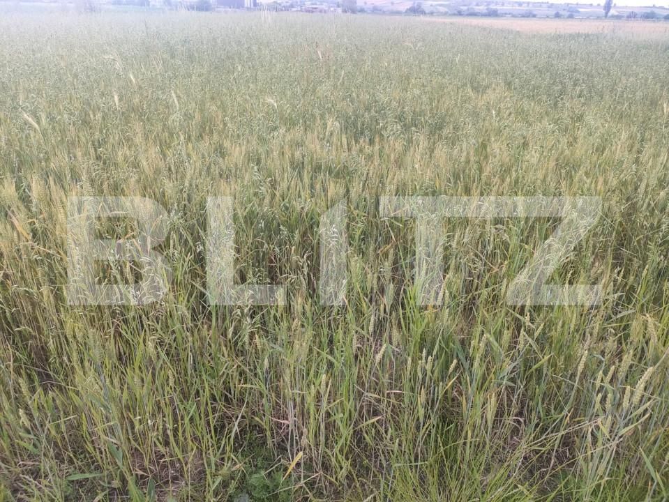 Teren de vânzare Horodnic - 153352TV | BLITZ Suceava | Poza2