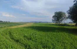 Teren intravilan, 5377mp, Horodnic de Sus