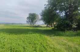 Teren intravilan, 5377mp, Horodnic de Sus