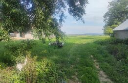 Teren intravilan, 5377mp, Horodnic de Sus