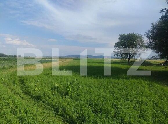 Teren de vânzare Horodnic de Sus - 153353TV | BLITZ Suceava | Poza3