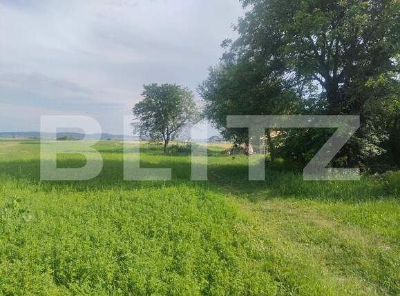 Teren de vânzare Horodnic de Sus - 153353TV | BLITZ Suceava | Poza2