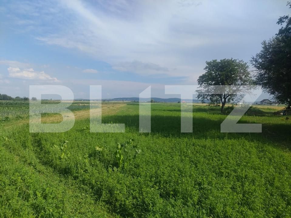 Teren de vânzare Horodnic de Sus - 153353TV | BLITZ Suceava | Poza3