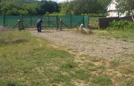 Teren intravilan,1953mp,Udesti