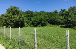 Teren intravilan, 2200mp, front 30 ml, Siret