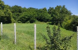 Teren intravilan, 2200mp, front 30 ml, Siret