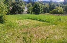 Teren intravilan, 2600 mp , Sucevita