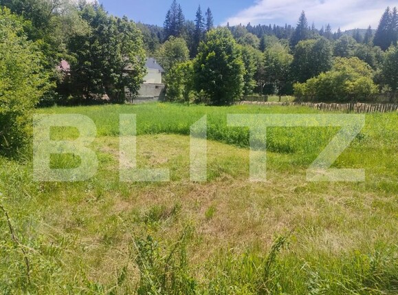 Teren de vânzare sucevita - 153409TV | BLITZ Suceava | Poza1
