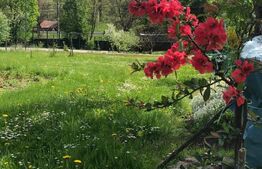 Casa și teren 1748mp, Sucevita