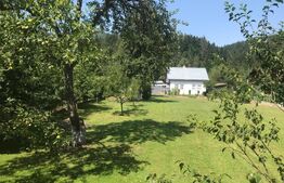 Casa și teren 1748mp, Sucevita