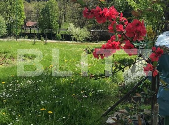 Casa de vânzare 3 camere sucevita - 153410CV | BLITZ Suceava | Poza7