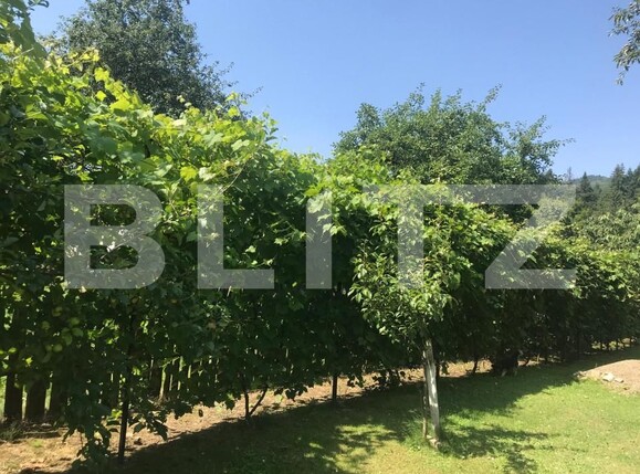 Casa de vânzare 3 camere sucevita - 153410CV | BLITZ Suceava | Poza5