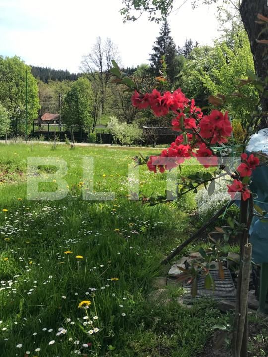 Casa de vânzare 3 camere sucevita - 153410CV | BLITZ Suceava | Poza7