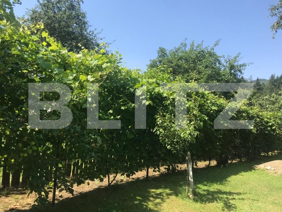 Casa de vânzare 3 camere sucevita - 153410CV | BLITZ Suceava | Poza5