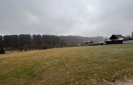 Teren extravilan , 4150 mp , zona de cabane Paltinoasa Suceava 