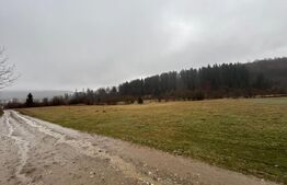 Teren extravilan , 4150 mp , zona de cabane Paltinoasa Suceava 