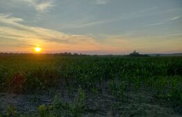 Teren intravilan, 6000 mp, Siret