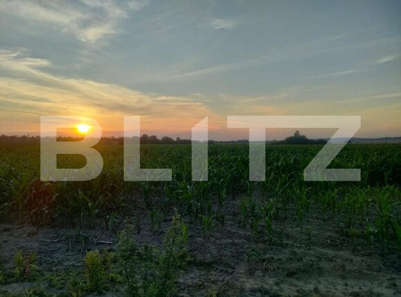 Teren de vânzare Siret - 153577TV | BLITZ Suceava | Poza2