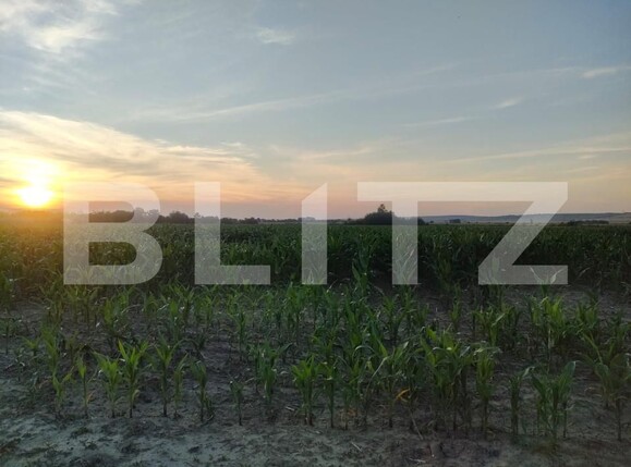 Teren de vânzare Siret - 153577TV | BLITZ Suceava | Poza1