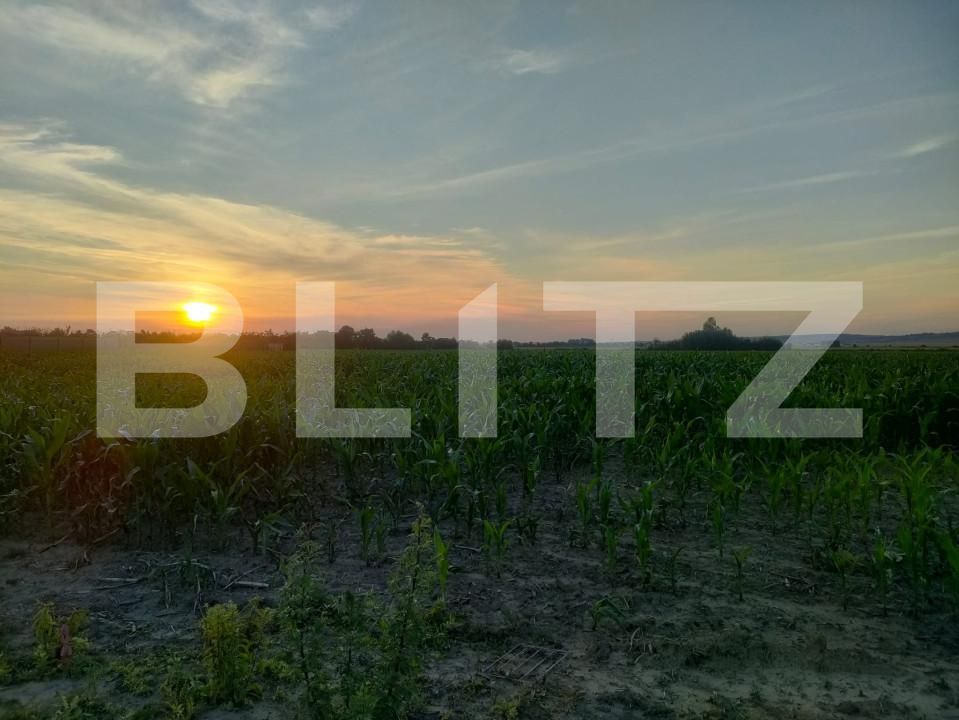 Teren de vânzare Siret - 153577TV | BLITZ Suceava | Poza2