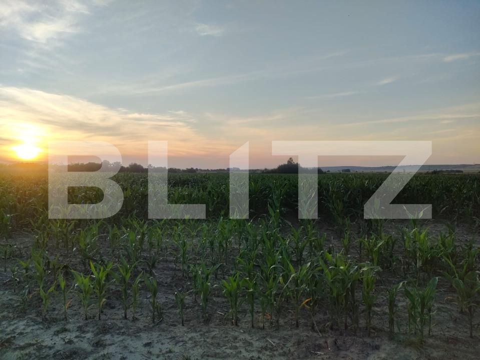 Teren de vânzare Siret - 153577TV | BLITZ Suceava | Poza1