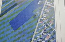 Teren de vânzare Sfantu Ilie - 142173TV | BLITZ Suceava | Poza3