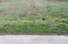 Teren intravilan de 1000 mp in Scheia