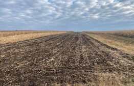 Teren Moara Carp ,7500 mp 