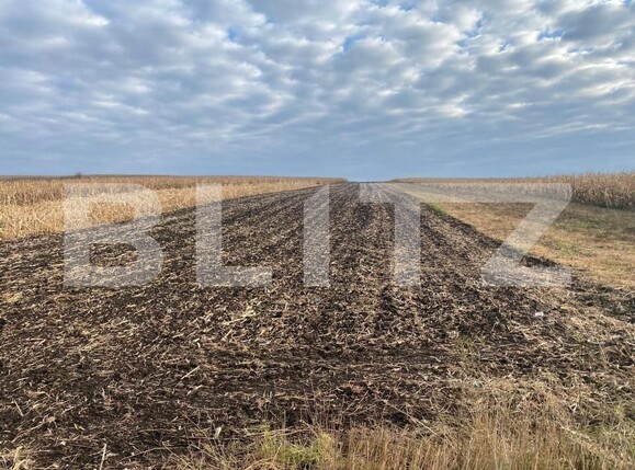 Teren de vânzare Central - 153610TV | BLITZ Suceava | Poza1