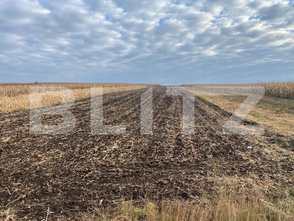 Teren de vânzare Central - 153610TV | BLITZ Suceava | Poza1