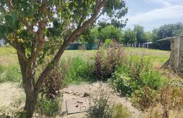 Casa cu anexa, 2000mp, Dorohoi