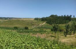 Teren intravilan, 2100mp, Dorohoi