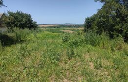 Teren intravilan, 2100mp, Dorohoi