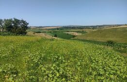 Teren intravilan, 2100mp, Dorohoi