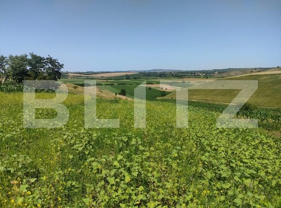 Teren de vânzare Exterior Nord - 153630TV | BLITZ Suceava | Poza1