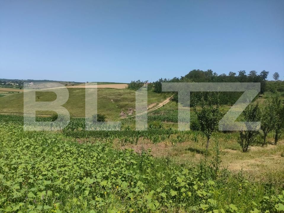 Teren de vânzare Exterior Nord - 153630TV | BLITZ Suceava | Poza3