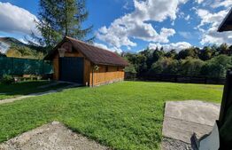 Vilă pretabilă pentru investiție în Prisaca Dornei, SV