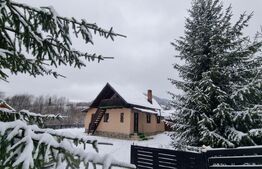 Casă de vacanță în Prisaca Dornei, SV