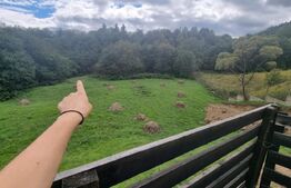 Casă Prisaca Dornei, SV