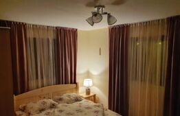 Vilă pretabilă pentru investiție în Prisaca Dornei, SV