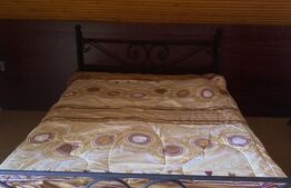 Casă Vatra Dornei 1750 mp